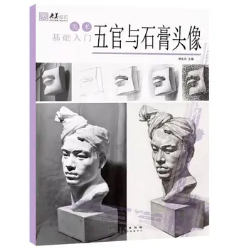 Знакомство с основами изобразительного искусства, пятью чувствами и гипсовыми головками, у Яньмэй есть около Чжун Дунфэня для редактирования эскизов